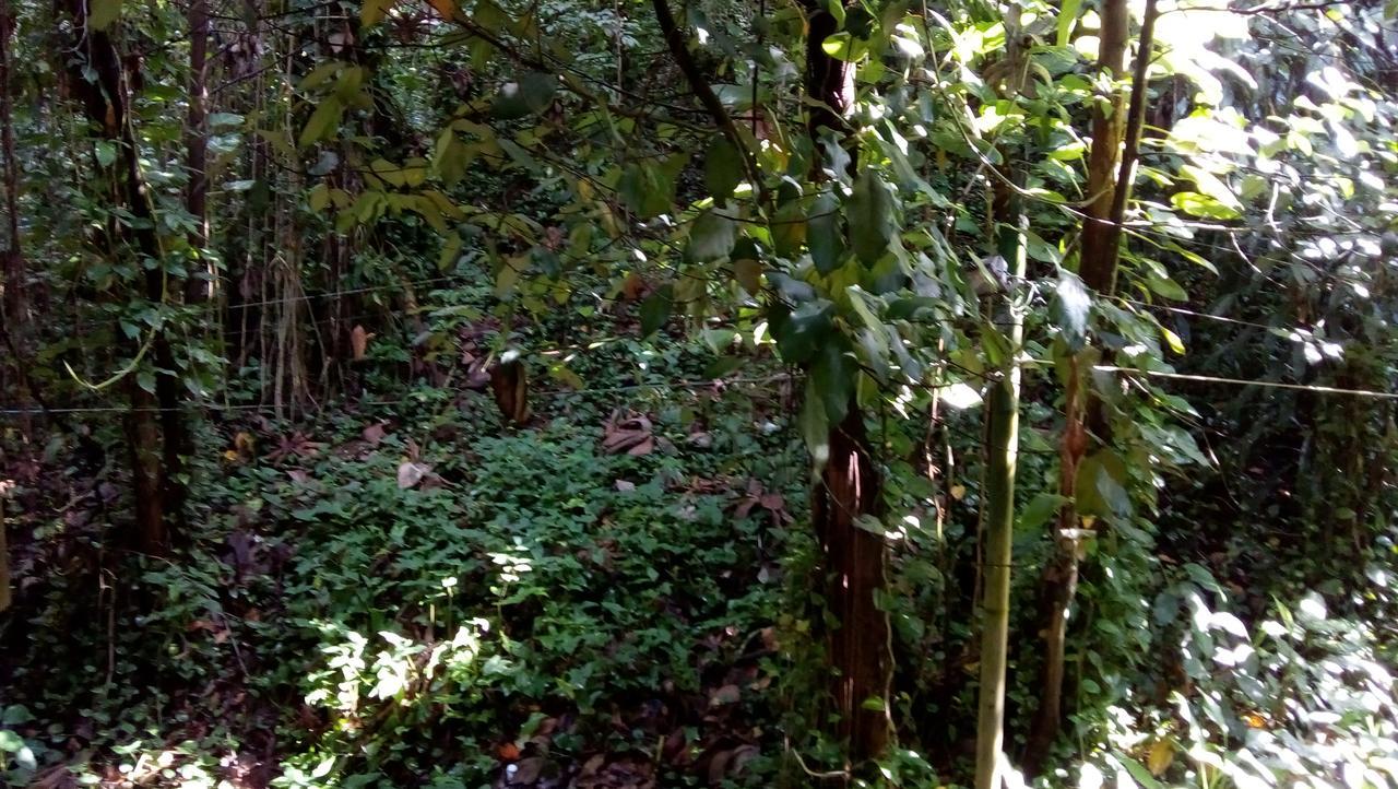 Vale Do Ipe Country Club Penginapan